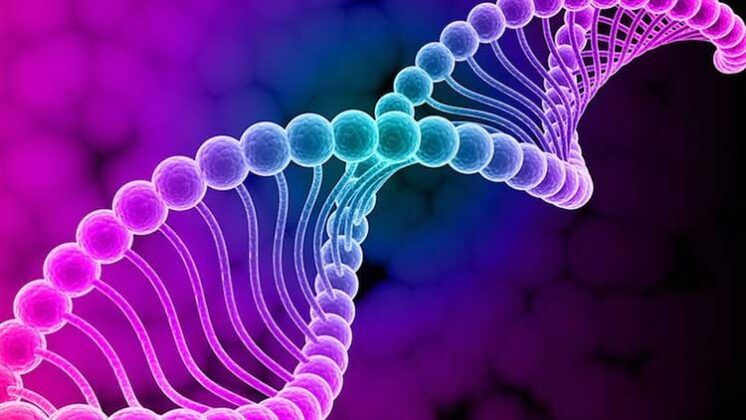 www.volviendoanacer.es | Terminología utilizada en Descodificación Biológica Integrativa