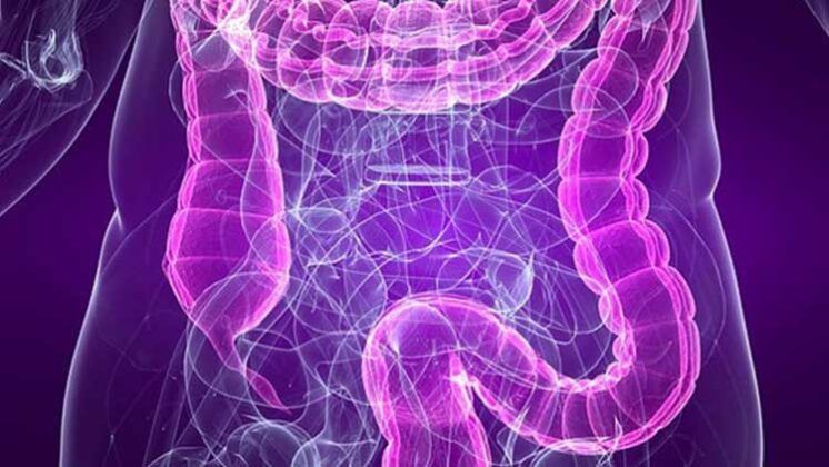 www.volviendoanacer.es | Psicobiorenacer Emocional | © Descodificación Biológica Integrativa (DBI) | Enfermedades del colon: Conflictos emocionales | No puedo soltar esta guarrada