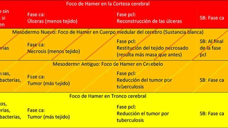 www.volviendoanacer.es | Psicobiorenacer Emocional | © Descodificación Biológica Integrativa (DBI) | Cuadro Guía NMG