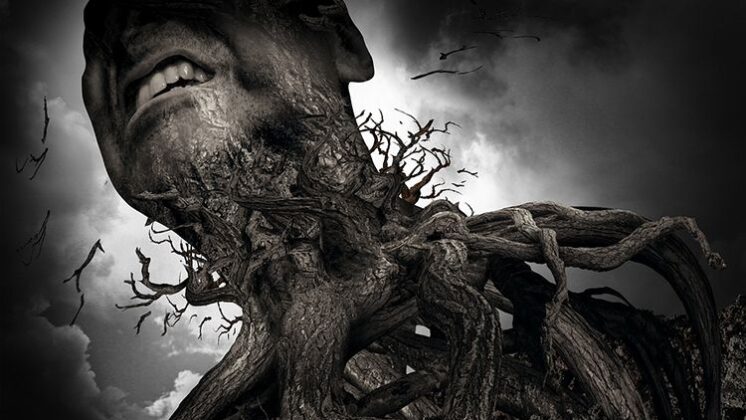 https://volviendoanacer.es | © Descodificación Biológica Integrativa (DBI) | Nudos del árbol genealógico y la importancia de deshacerlos